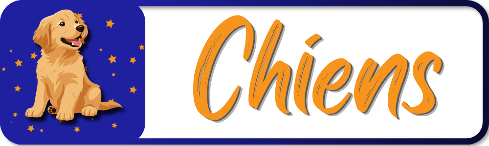 Chien