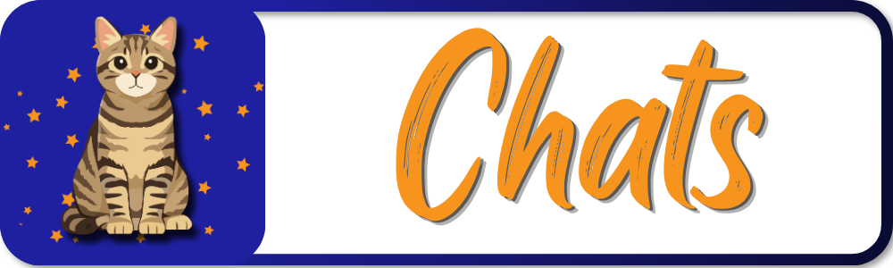 Chat