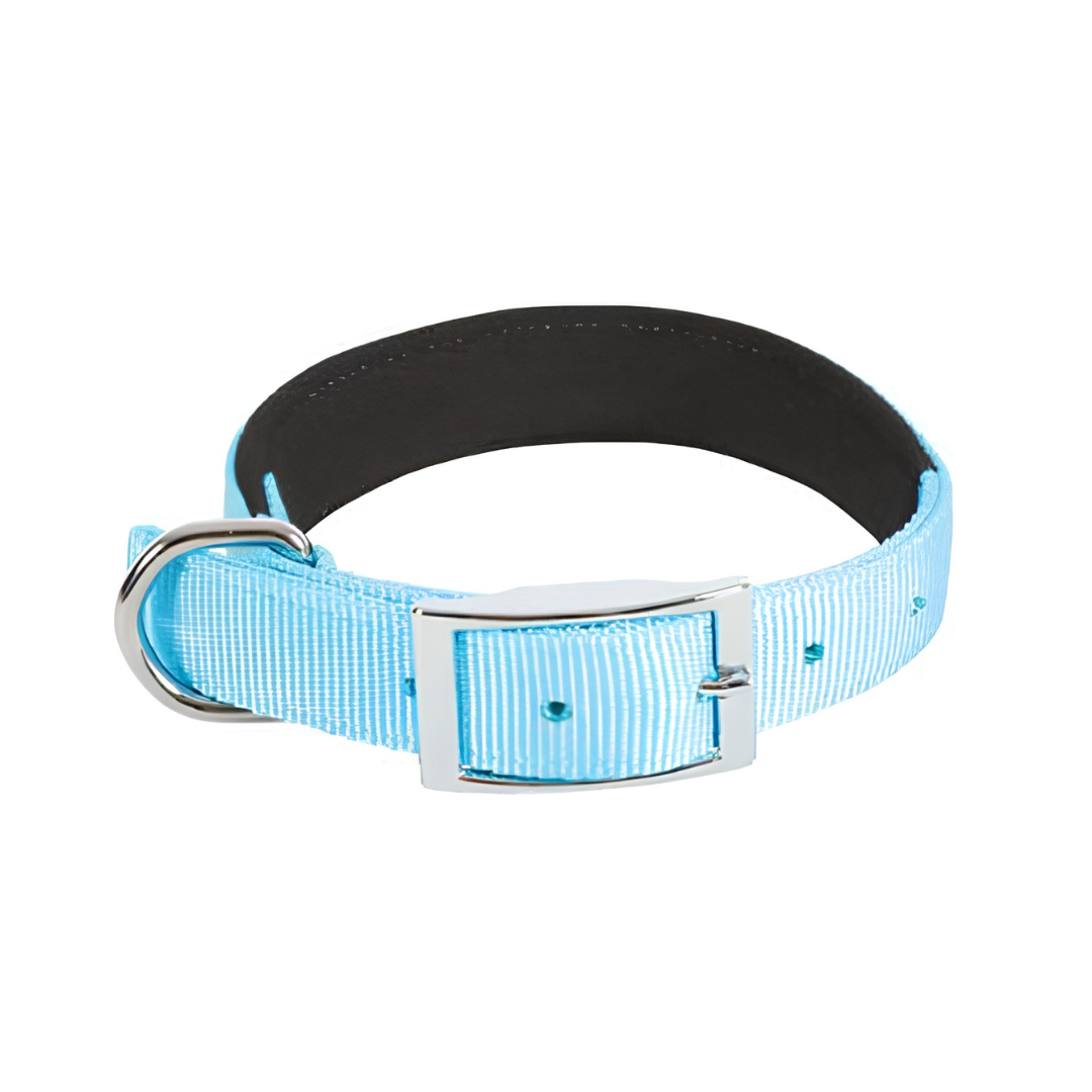 Collier rembourré en nylon taille M pour chien