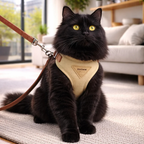 Harnais gilet uni avec laisse taille L pour chien et chat
