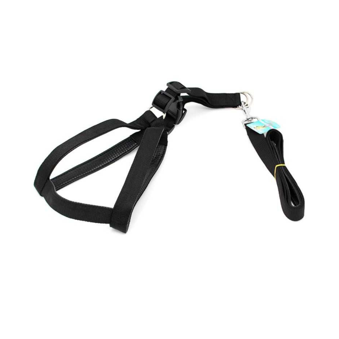 Harnais rembourré avec laisse taille L pour chien