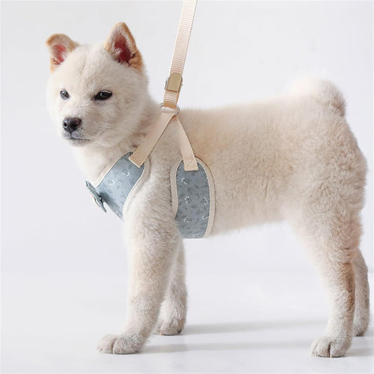 Harnais gilet "France" avec laisse pour chien et chat