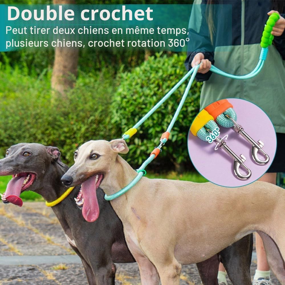 Laisse double corde à main rembourrée pour deux chiens
