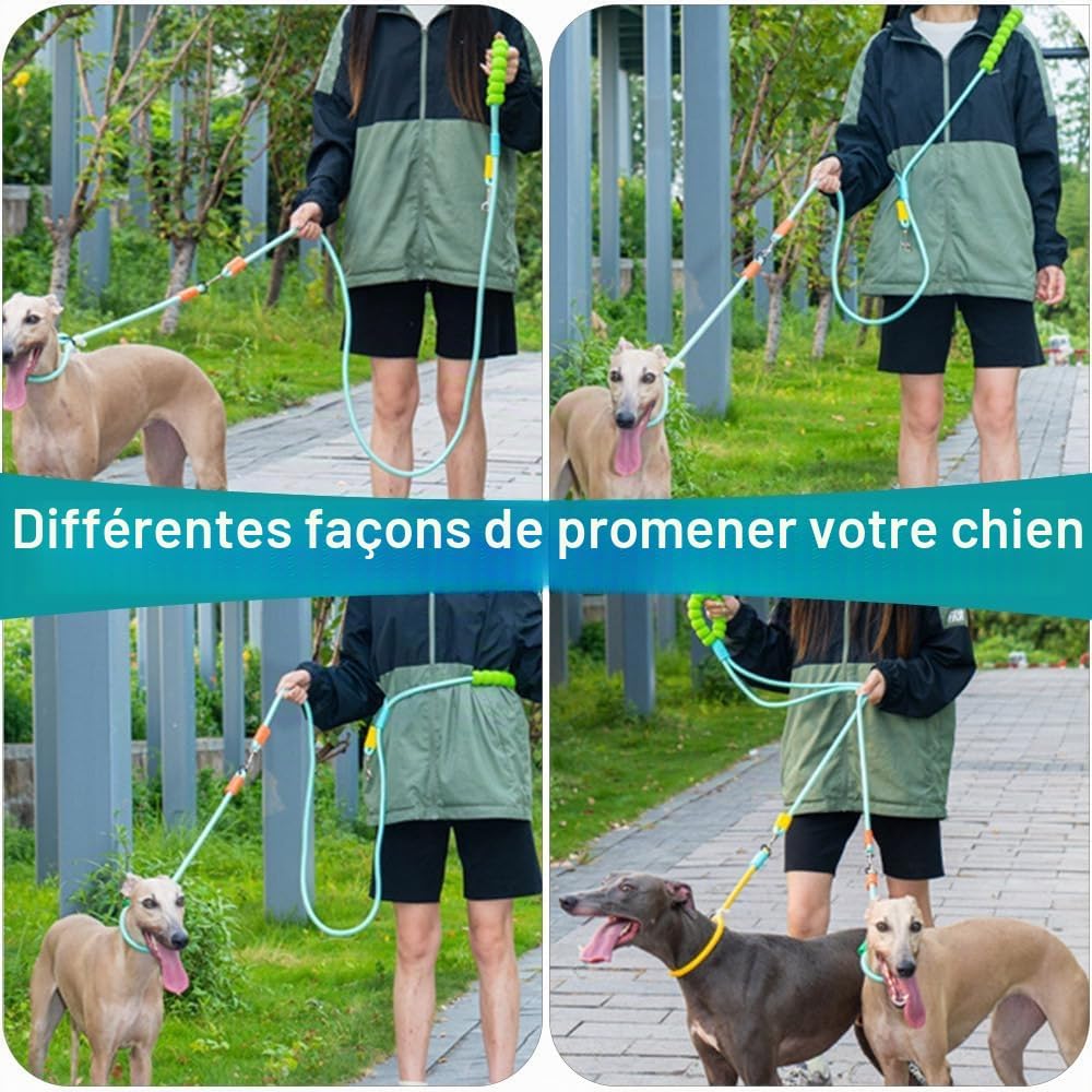 Laisse double corde à main rembourrée pour deux chiens