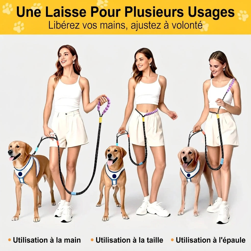 Laisse double avec poignée pour chien