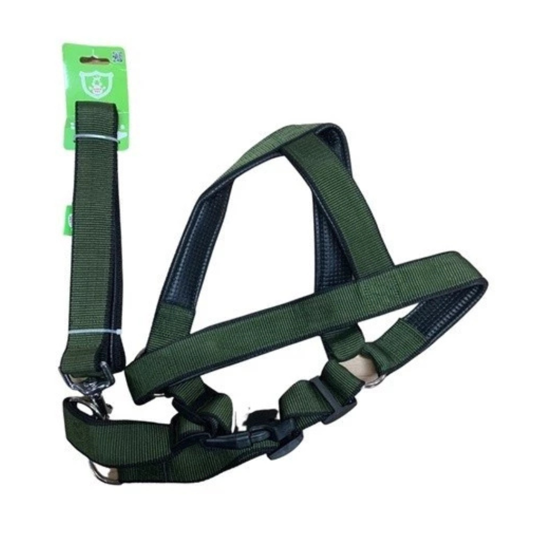 Harnais rembourré avec laisse taille M pour chien