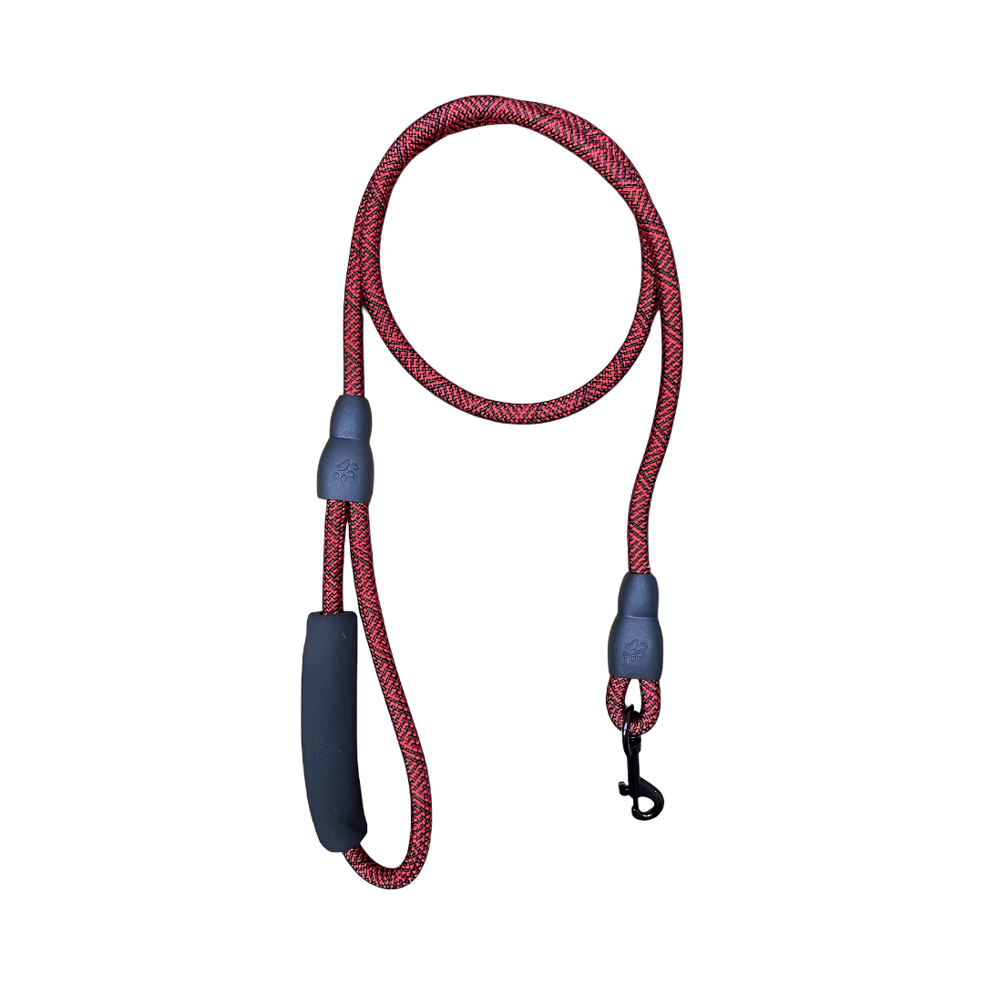 Laisse corde nylon a main rembourrée pour chien