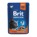 Brit pochon bouchées saumon pour chat stérilisé 100g