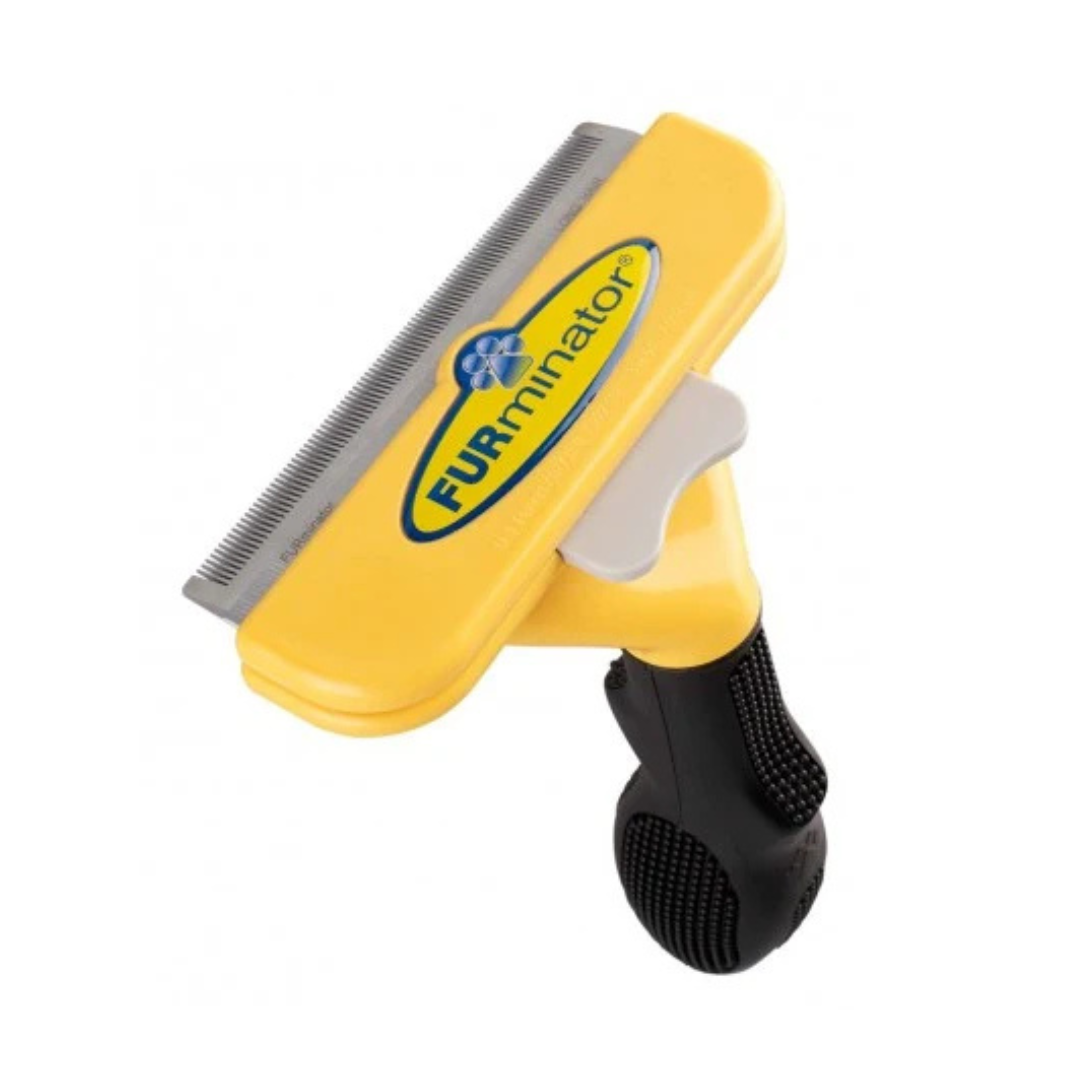 Brosses - Chien