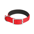 Collier rembourré en nylon taille M pour chien