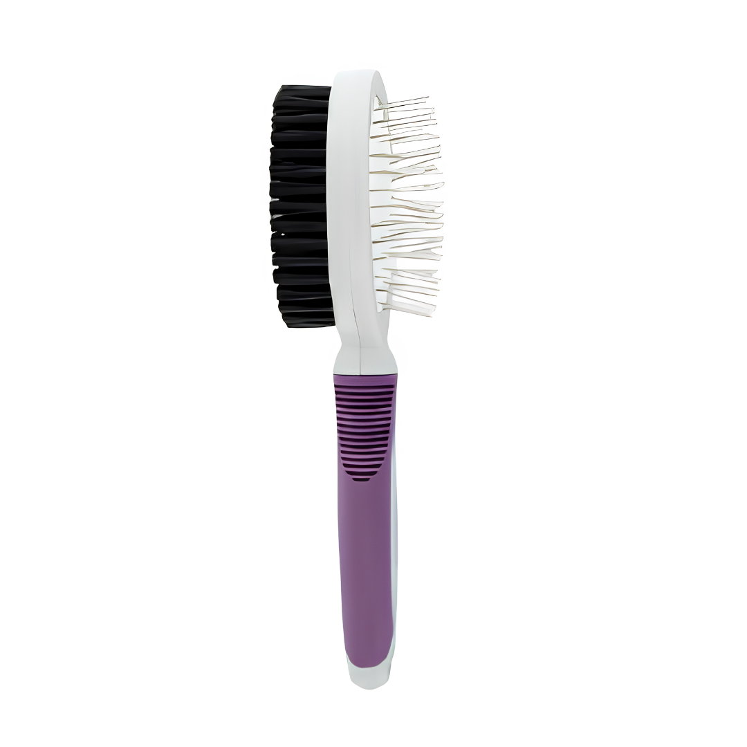 Brosses - Chien