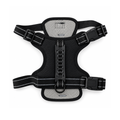 Harnais anti traction pour petit chien et chat