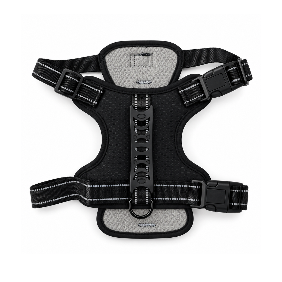 Harnais anti traction pour petit chien et chat