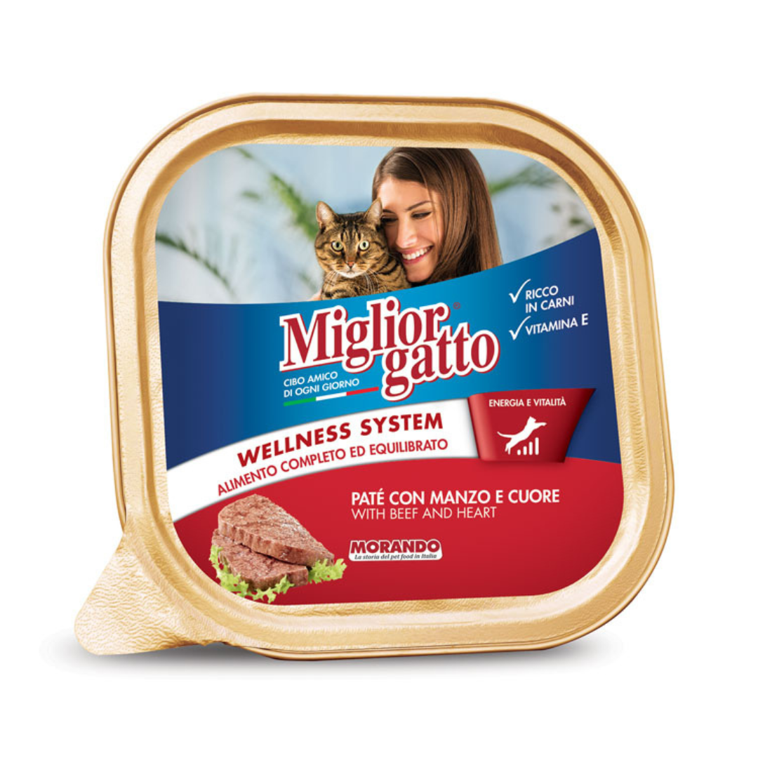 Miglior gatto barquette pâtée bœuf pour chat 100g