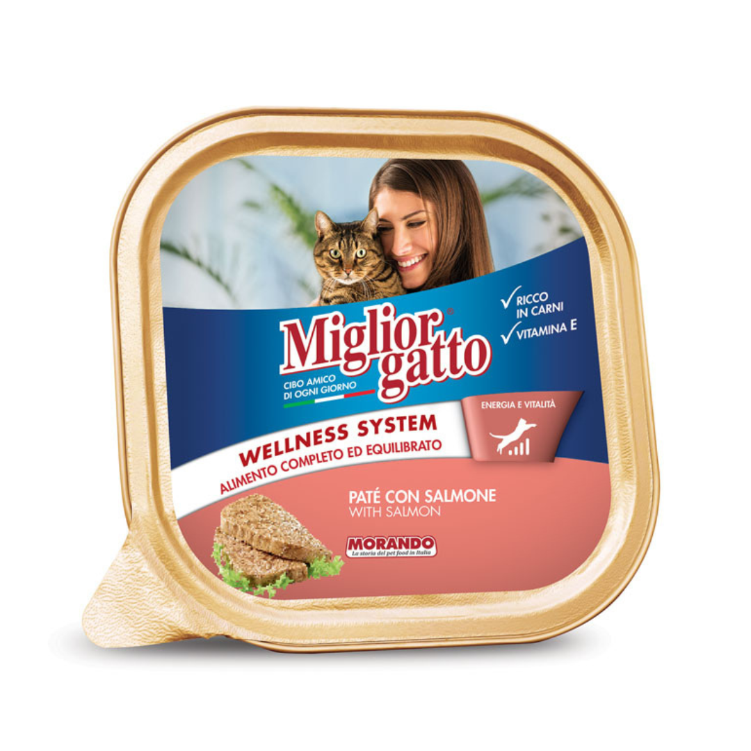 Miglior gatto barquette pâtée saumon pour chat 100g