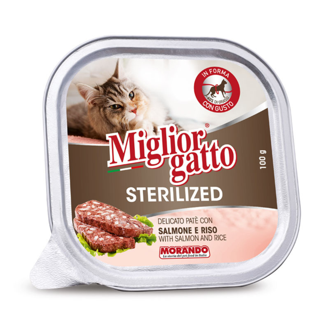 Miglior gatto barquette pâtée saumon pour chat stérilisé 100g