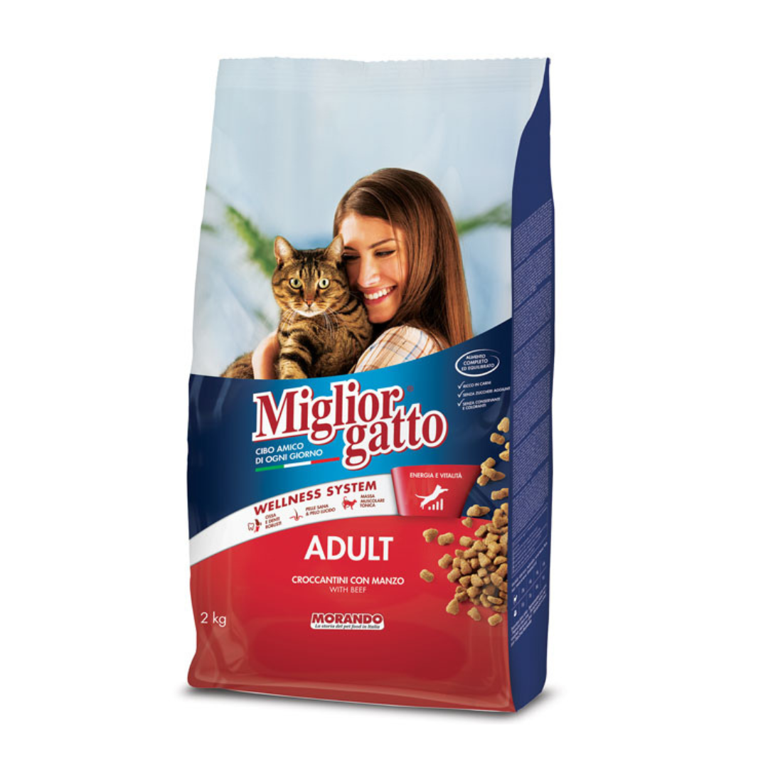 Miglior gatto croquettes bœuf pour chat 2kg