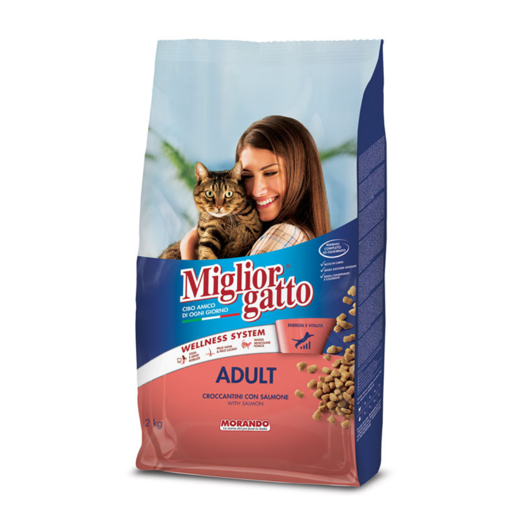 Miglior gatto croquettes saumon chat 2kg