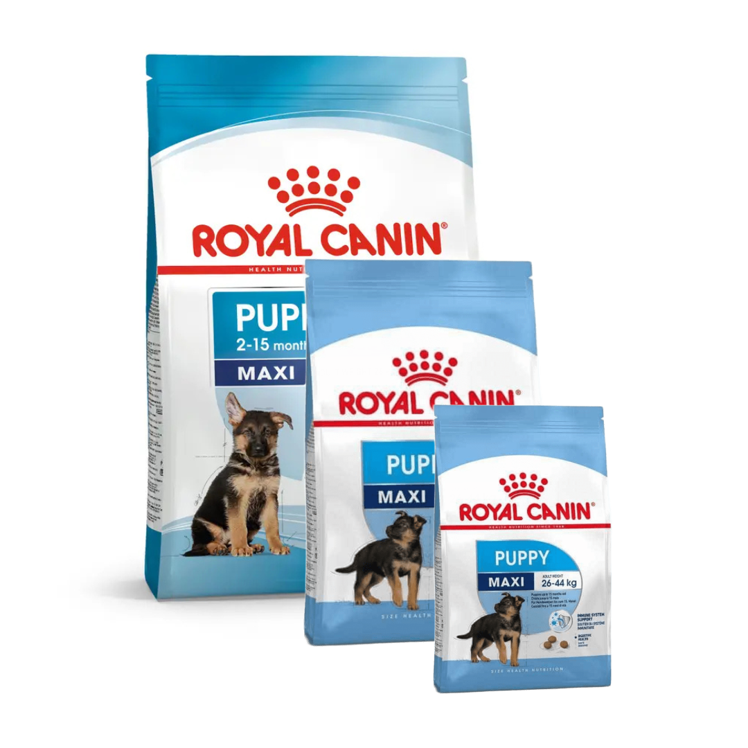 Royal Canin croquettes pour chiot grande race 1kg