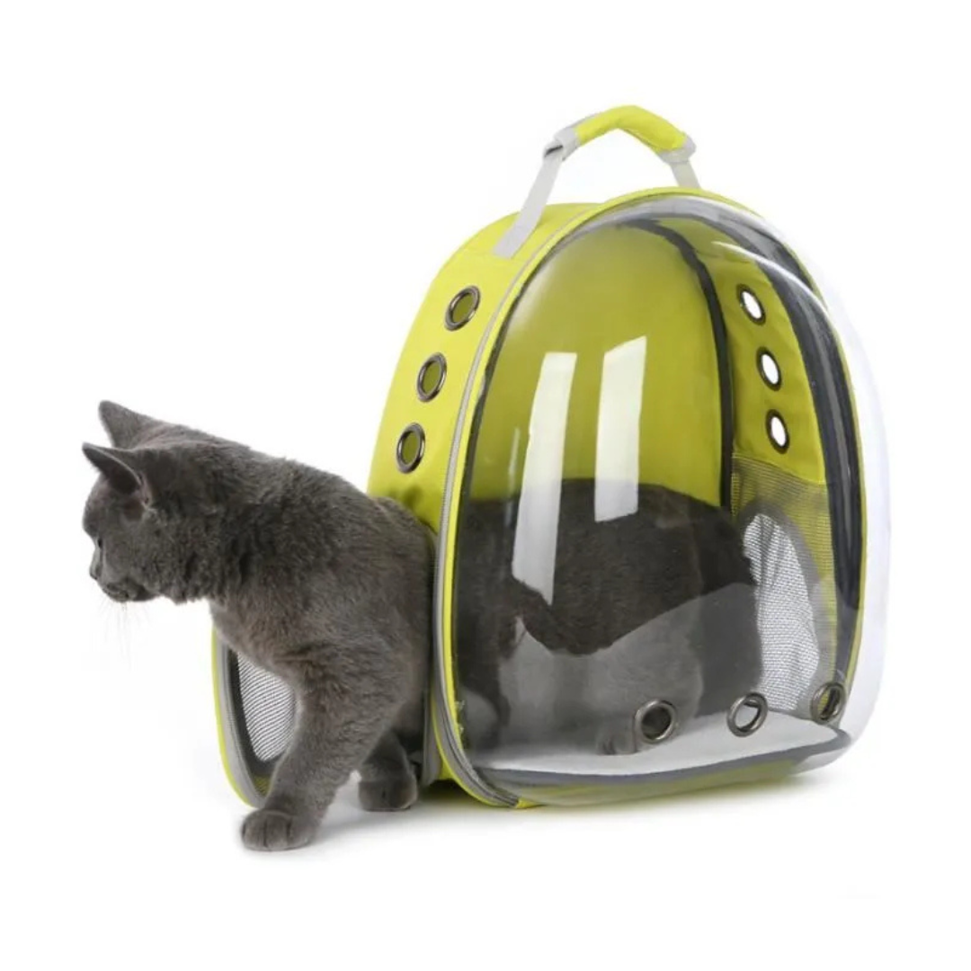 Sac à dos de voyage pour mini chien et chat