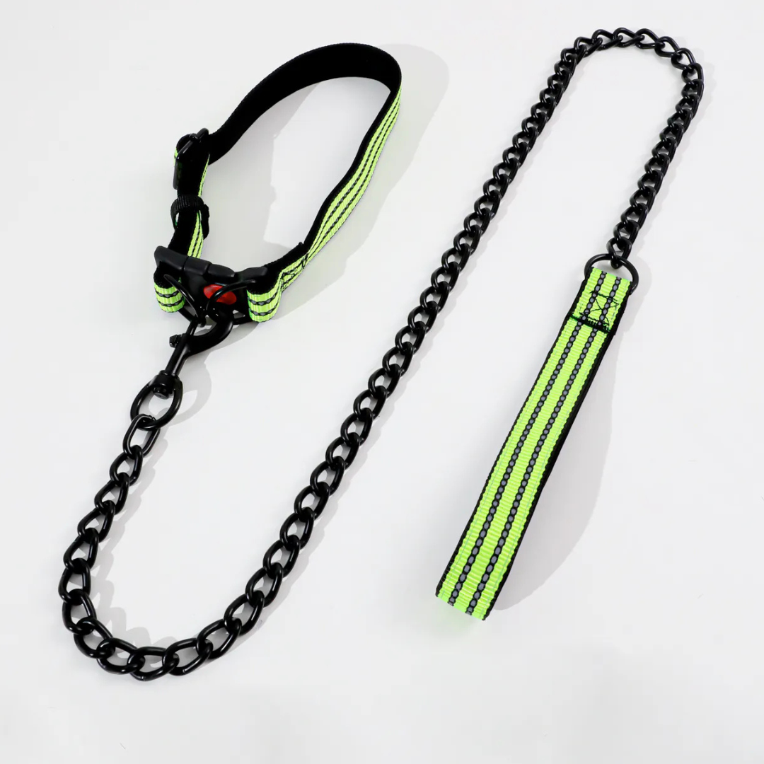 Laisse et collier reflechissants avec chaine en acier pour chien