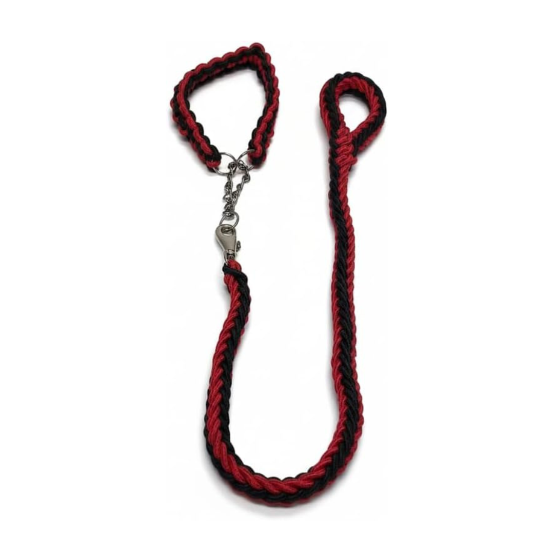 Laisse corde avec collier de traction pour grand chien