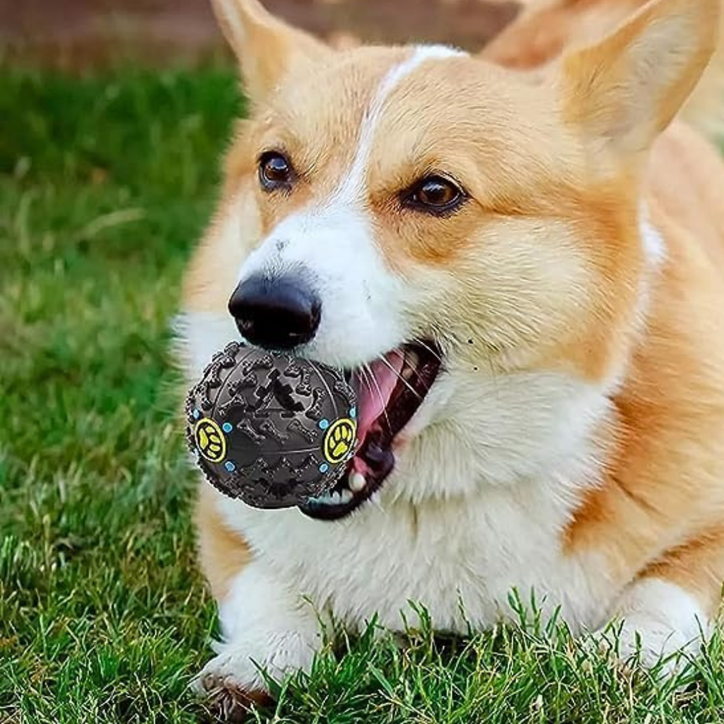Balle distributrice de nourriture jouet interactif pour chien