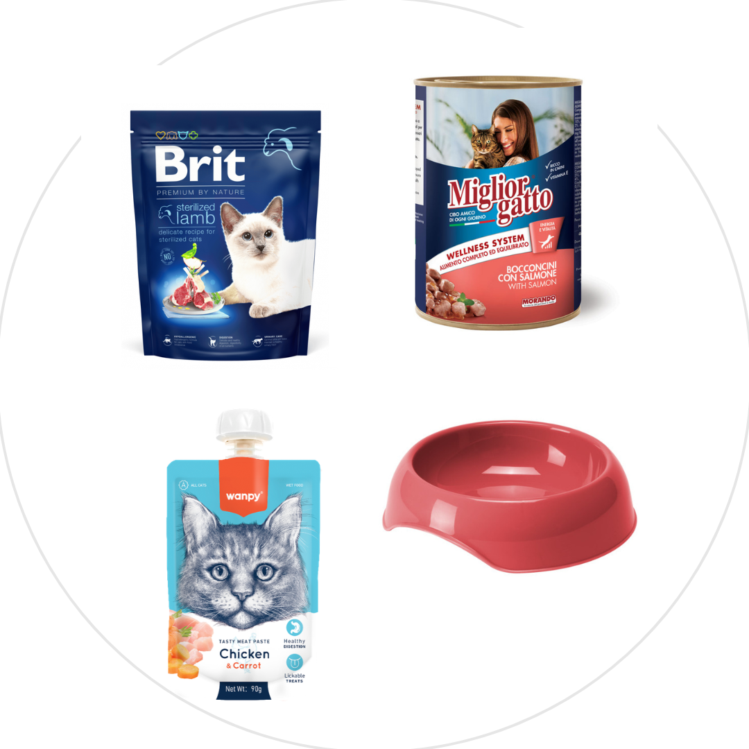 Nourriture - Chat