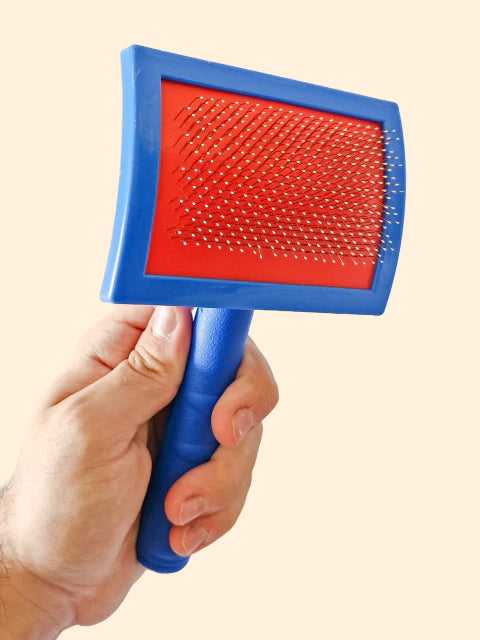 Brosse carde M manche plastique pour chien et chat