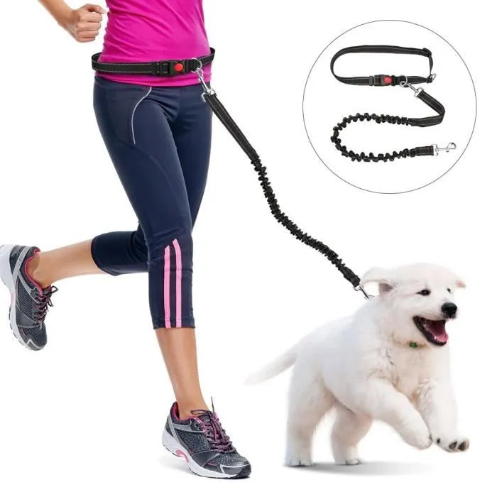 Laisse mains libres pour courir avec son chien